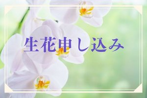 生花申し込み